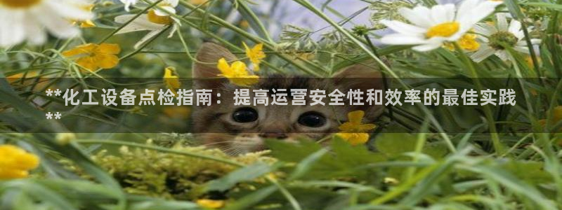 天辰测速在线登录网址