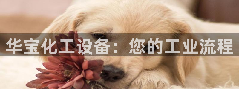 天辰会员是干什么的