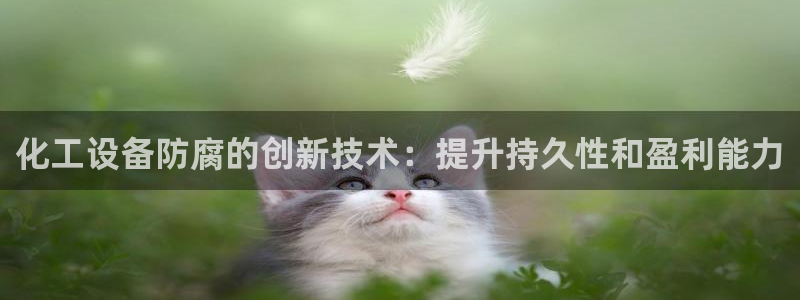 天辰平台招商1111是什么活动