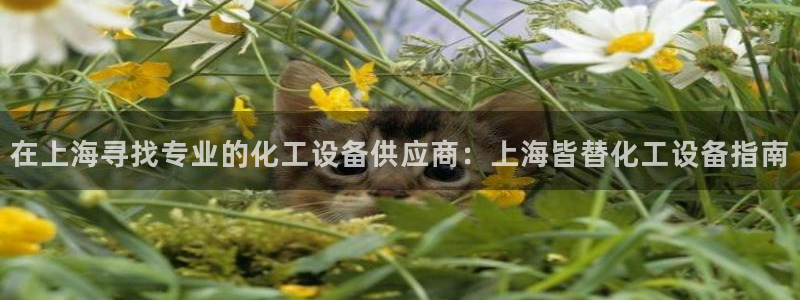 天辰平台用户登录失败什么原因