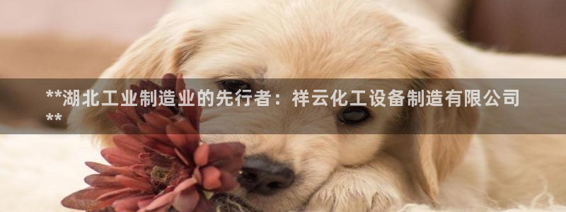 天辰平台用户注册网址