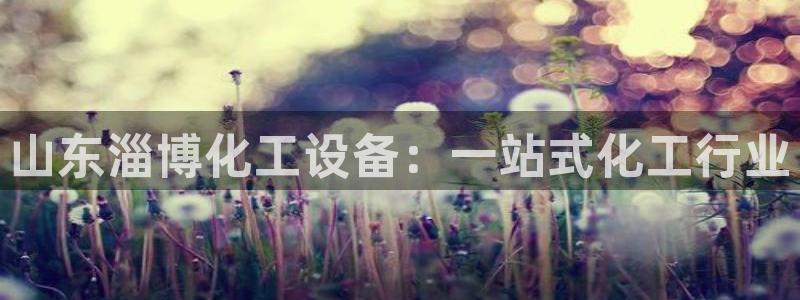 天辰平台用户登录不上去
