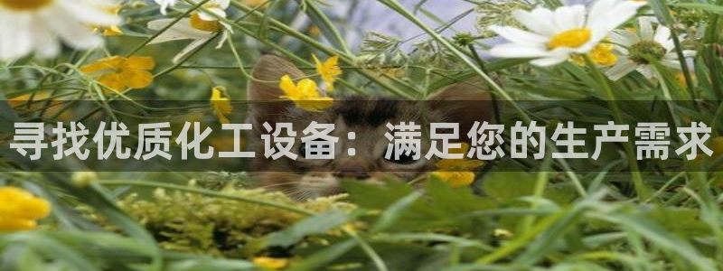 天辰平台陈7O777