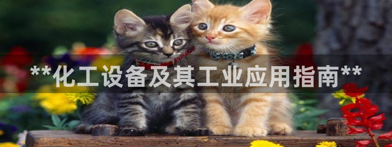 天辰用户注册流程