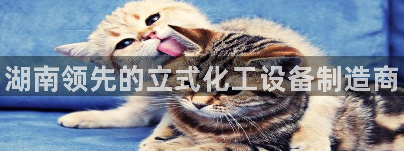 天辰娱乐代理注册平台登录系统