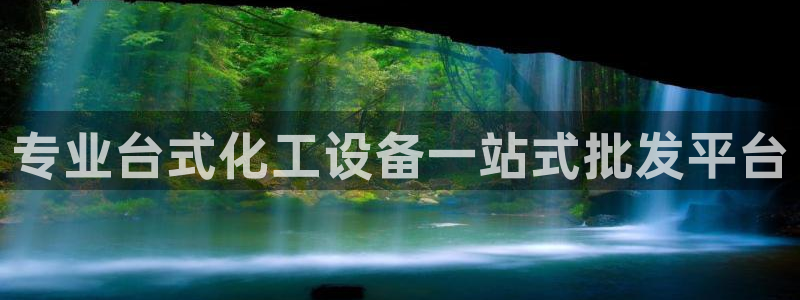 天辰商盟创业平台