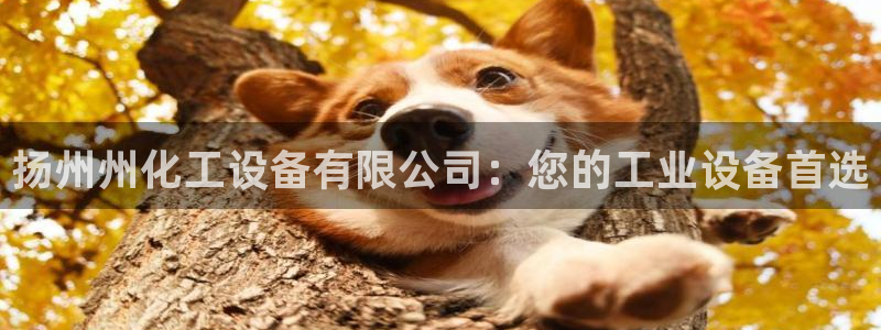 天辰平台测速登录不上