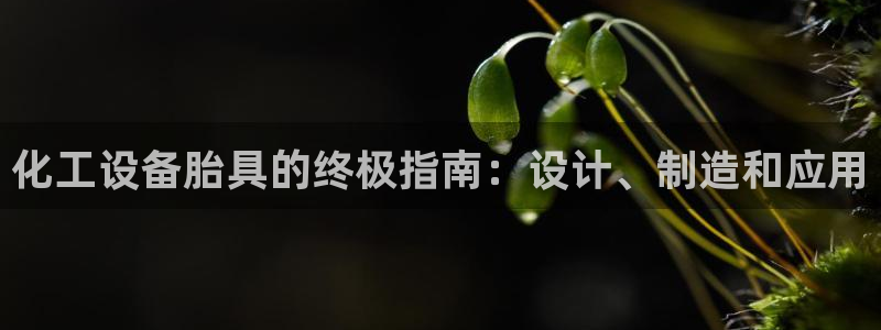天辰平台飞 41IO31 平台