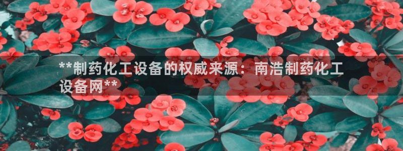 天辰平台 -专用通道安全稳定