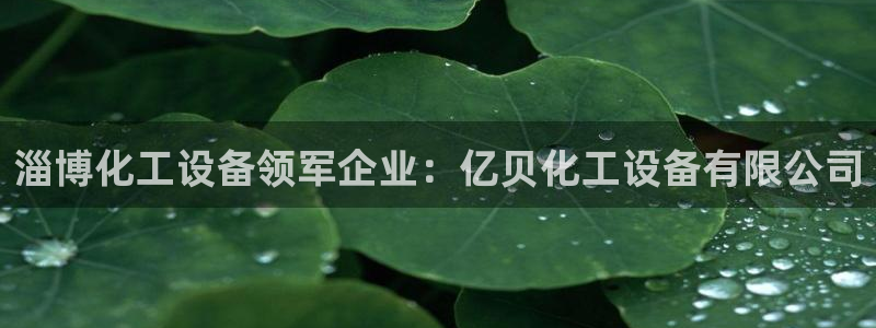 天辰平台测速登录不上怎么回事