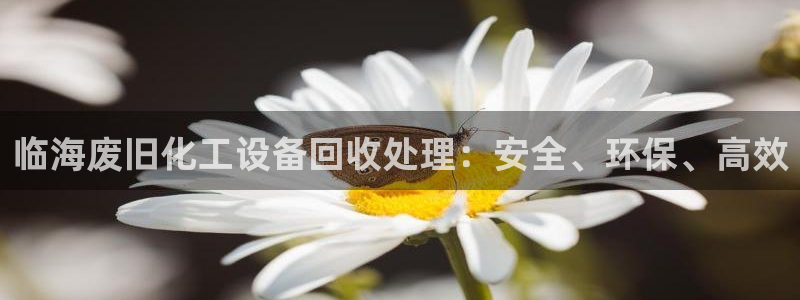 天辰注册会员多少钱