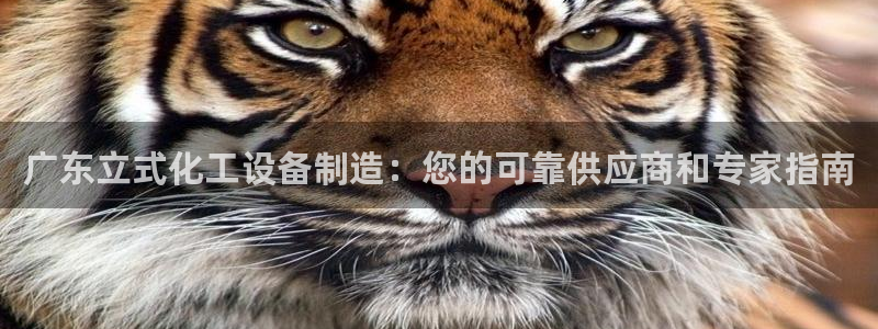 天辰平台怎么样