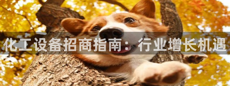 天辰娱乐平台用户评价与反馈