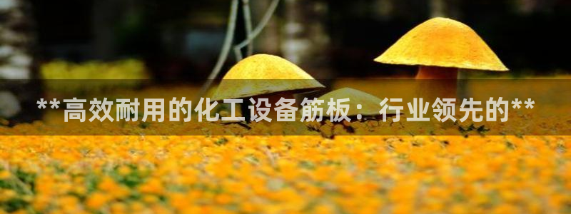 天辰网怎么样