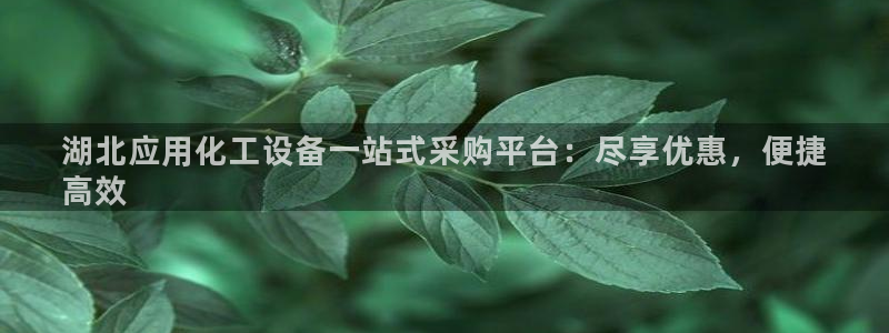 天辰平台用户登录不了账号