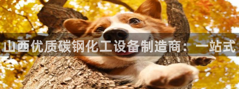 天辰平台测速登录不上