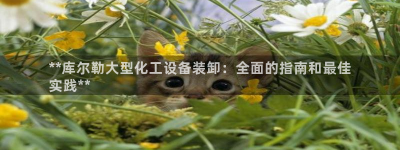 天辰娱乐平台用户评价与反馈