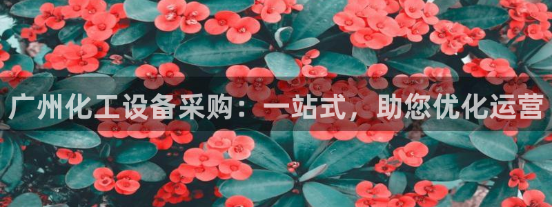 天辰平台网