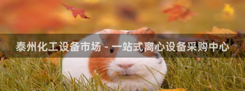 天辰平台注册登录地址在哪里找