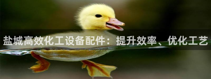 天辰会员开户多少钱