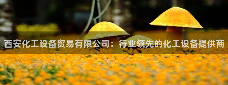 天辰平台用户登录不上