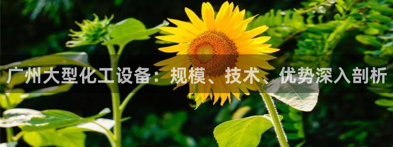 天辰线路测试