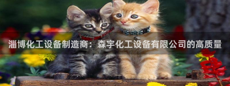 天辰平台招商1111是什么活动