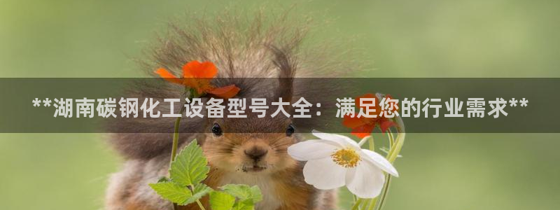 天辰测速登录