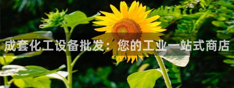 天辰平台怎么样可靠吗知乎