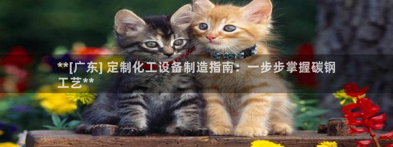 天辰娱乐百度百科大全
