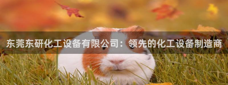 天辰平台测速登录不上怎么回事：东莞东研化工设备有限