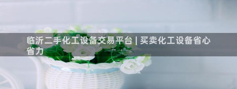 天辰平台测速登录不上怎么办