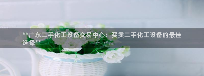 天辰商盟创业平台