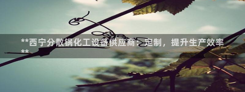 天辰用户注册流程