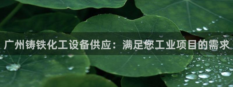 天辰娱乐百度百科大全