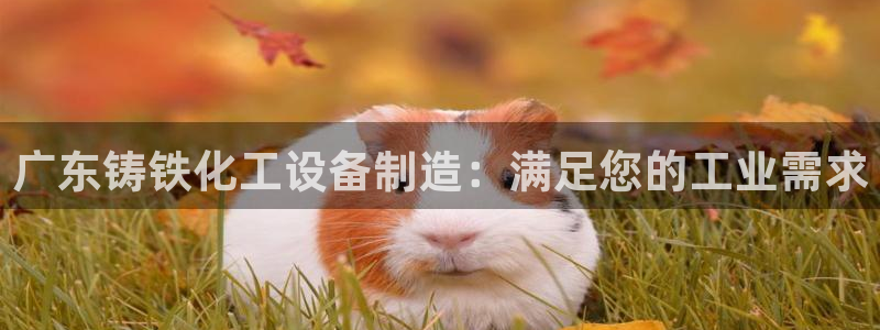 天辰团队玩彩平台是真的吗：广东铸铁化工设备制造：满