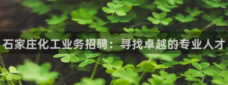 天辰平台总代理