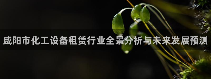 天辰注册会员官网：咸阳市化工设备租赁行业全景分析与