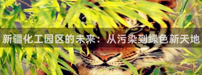 天辰会员注册链接怎么弄：新疆化工园区的未来：从污染