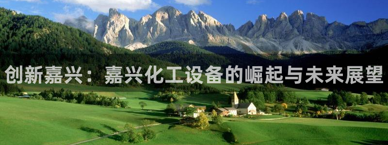 天辰商盟创业平台是真的吗