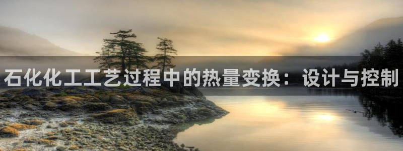 天辰娱乐平台用户评价与反馈