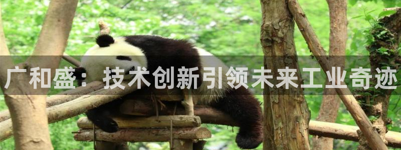 天辰平台测速登录不上：广和盛：技术创新引领未来工业