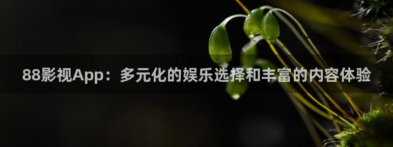 四库影视在线：88影视App：多元化的娱乐选择和丰富的内容体验