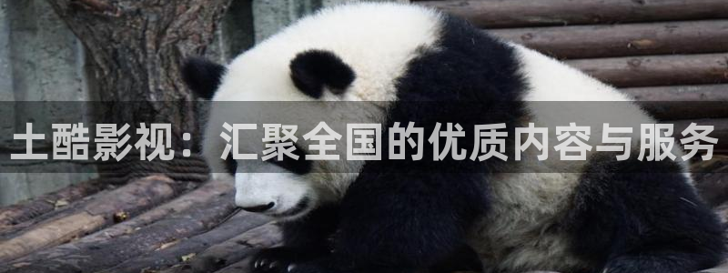 四库免费影院：土酷影视：汇聚全国的优质内容与服务