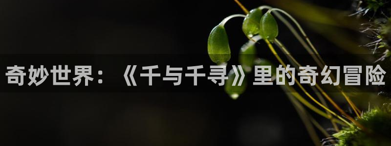 四库影院电视剧免费资源：奇妙世界：《千与千寻》里的奇幻冒险