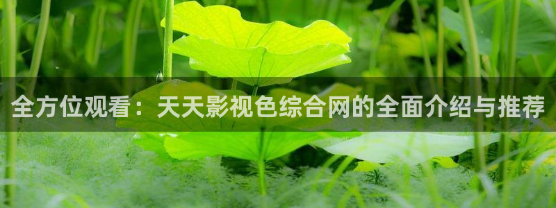 四库影院永久在线观看：全方位观看：天天影视色综合网的全面介绍与推荐