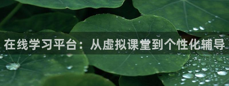 四库影院永久地址www1515com：在线学习平台：从虚拟课堂到个性化辅导