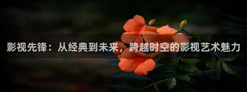 221ddaom四库影院进入2：影视先锋：从经典到未来，跨越时空的影视艺术魅力
