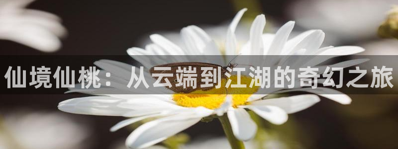 四库成人影院：仙境仙桃：从云端到江湖的奇幻之旅