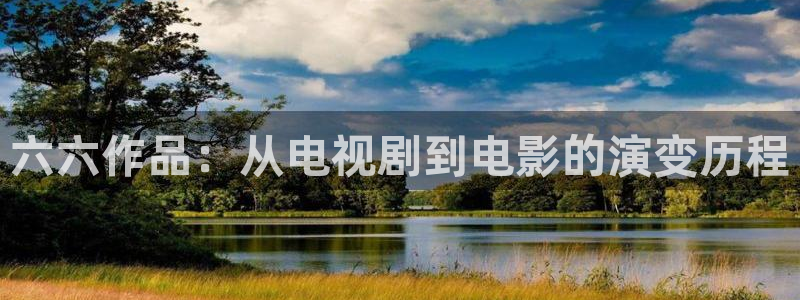 四库影院精品视频：六六作品：从电视剧到电影的演变历程